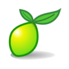 Limesurvey