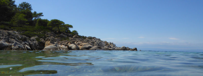 Schwimmen und Wassersport